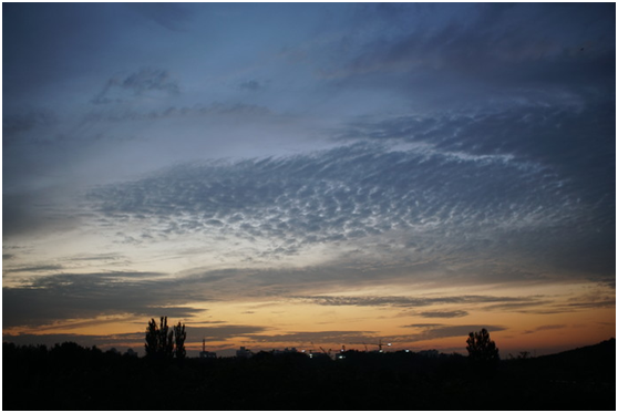 精細(xì)調(diào)焦與馥郁色彩 美科25mm f1.8鏡頭評測